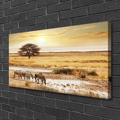 Canvas Kunstdruck Wüste Landschaft