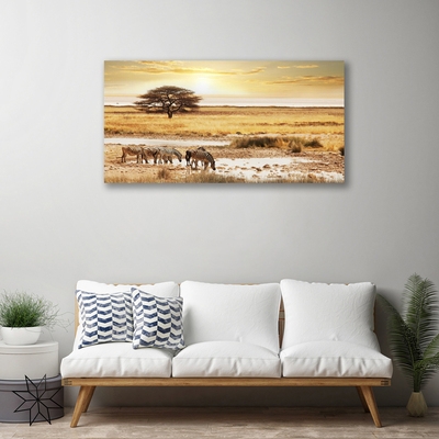 Canvas Kunstdruck Wüste Landschaft