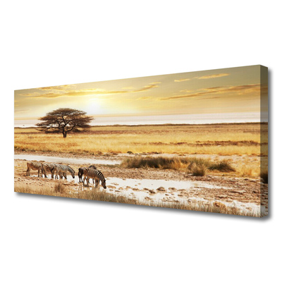 Canvas Kunstdruck Wüste Landschaft