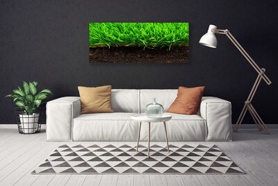 Canvas Kunstdruck Gras Natur