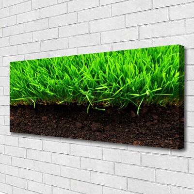 Canvas Kunstdruck Gras Natur