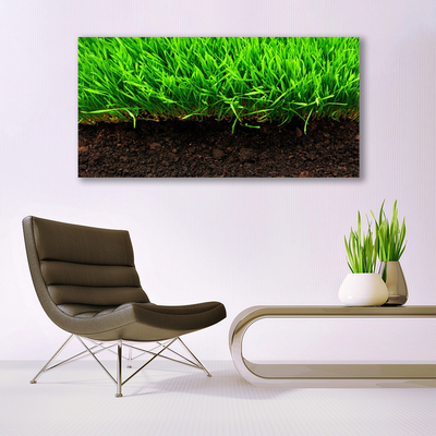 Canvas Kunstdruck Gras Natur