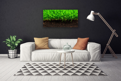 Canvas Kunstdruck Gras Natur