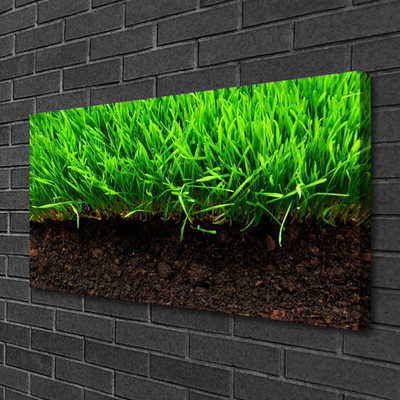 Canvas Kunstdruck Gras Natur