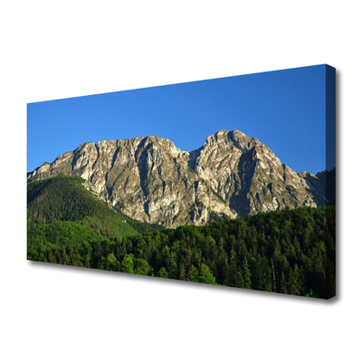 Canvas Kunstdruck Gebirge Wald Natur