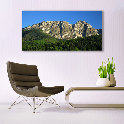 Canvas Kunstdruck Gebirge Wald Natur