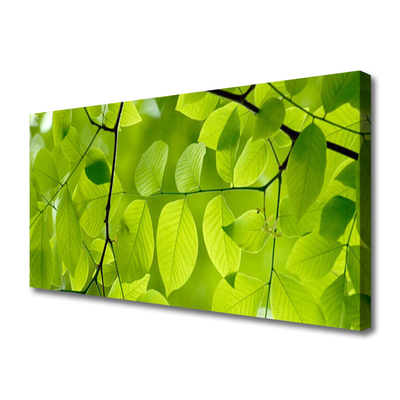 Canvas Kunstdruck Blätter Natur