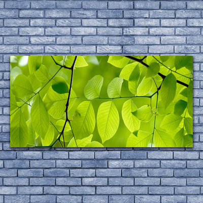 Canvas Kunstdruck Blätter Natur