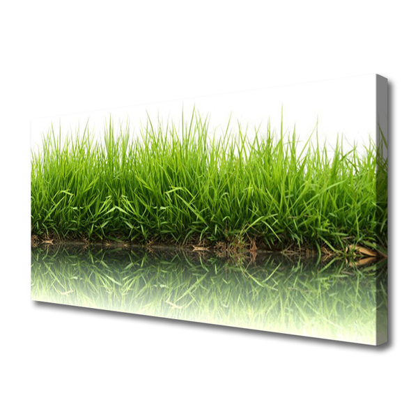 Canvas Kunstdruck Gras Natur