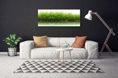 Canvas Kunstdruck Gras Natur