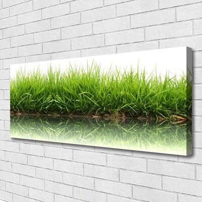 Canvas Kunstdruck Gras Natur