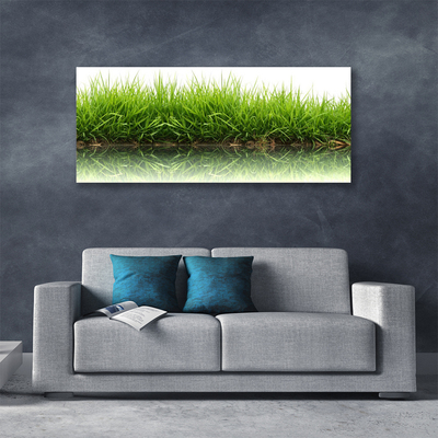 Canvas Kunstdruck Gras Natur