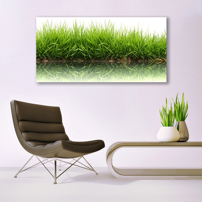 Canvas Kunstdruck Gras Natur