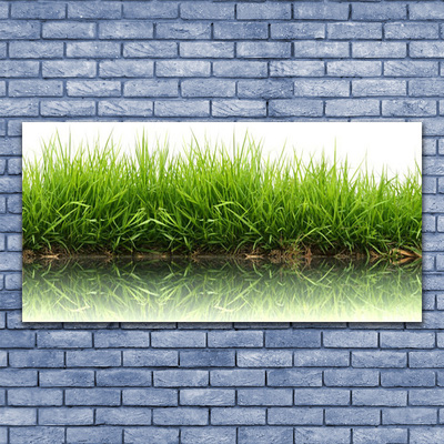 Canvas Kunstdruck Gras Natur