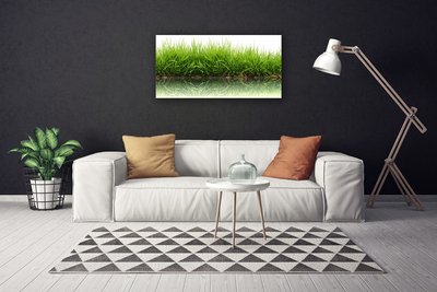 Canvas Kunstdruck Gras Natur