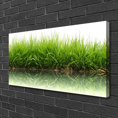 Canvas Kunstdruck Gras Natur