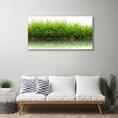 Canvas Kunstdruck Gras Natur