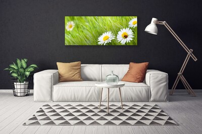 Canvas Kunstdruck Gras Gänseblümchen Natur