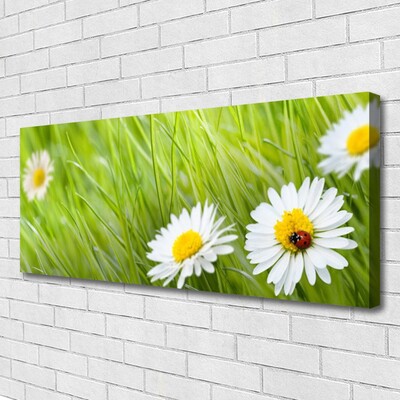 Canvas Kunstdruck Gras Gänseblümchen Natur