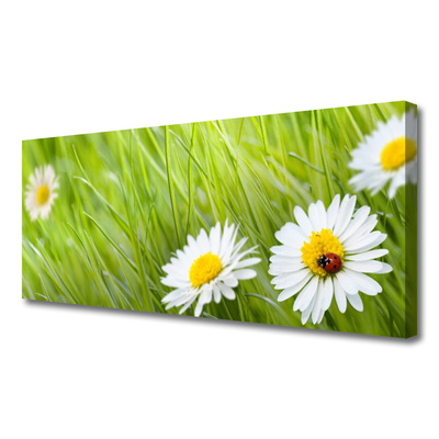 Canvas Kunstdruck Gras Gänseblümchen Natur