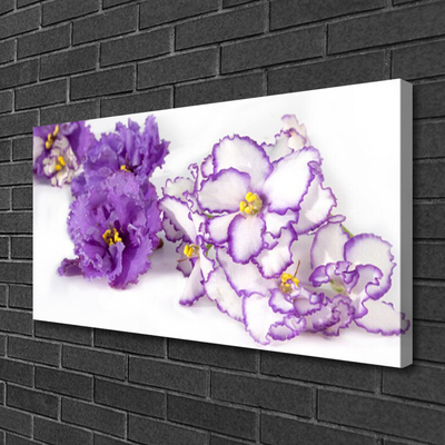 Canvas Kunstdruck Blumen Pflanzen