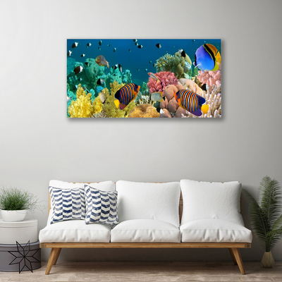 Canvas Kunstdruck Korallenriff Natur