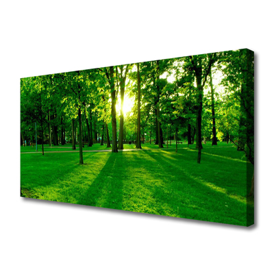 Canvas Kunstdruck Wald Natur