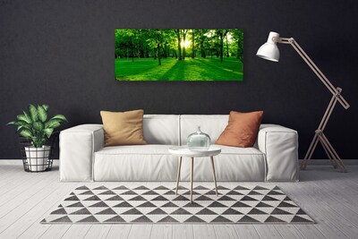 Canvas Kunstdruck Wald Natur