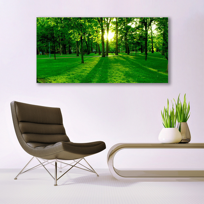 Canvas Kunstdruck Wald Natur