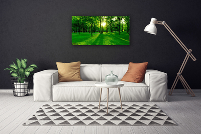 Canvas Kunstdruck Wald Natur