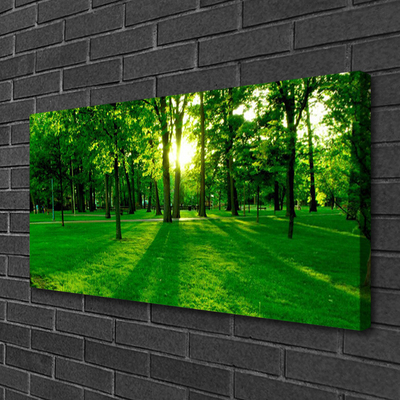 Canvas Kunstdruck Wald Natur