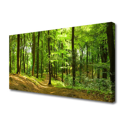 Canvas Kunstdruck Wald Natur