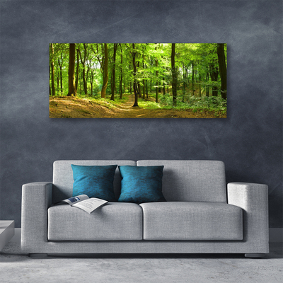 Canvas Kunstdruck Wald Natur