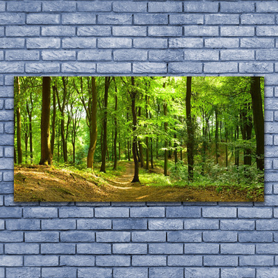 Canvas Kunstdruck Wald Natur