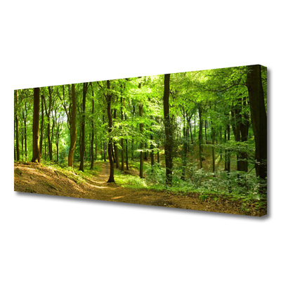 Canvas Kunstdruck Wald Natur