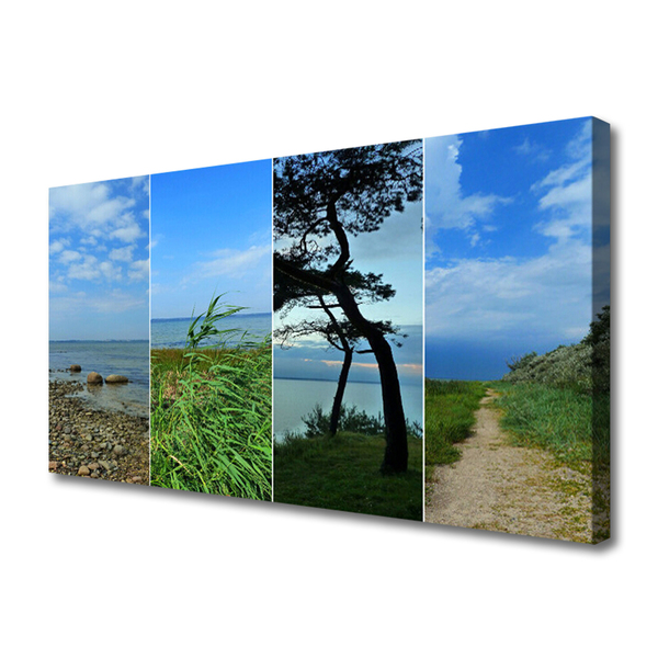 Canvas Kunstdruck Strand Baum Fußpfad Landschaft