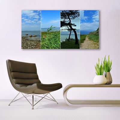 Canvas Kunstdruck Strand Baum Fußpfad Landschaft