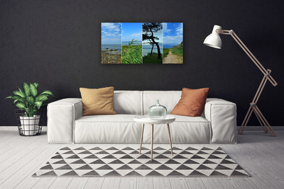 Canvas Kunstdruck Strand Baum Fußpfad Landschaft