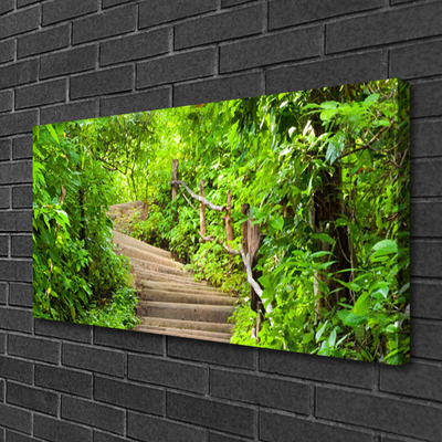 Canvas Kunstdruck Treppen Natur