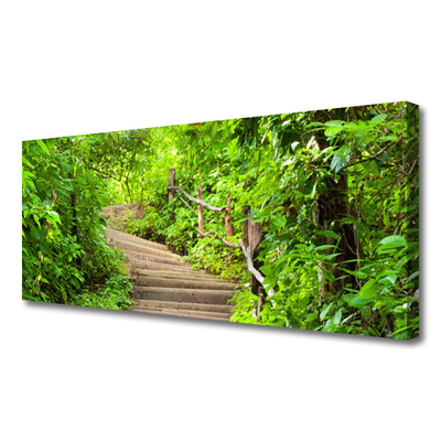 Canvas Kunstdruck Treppen Natur