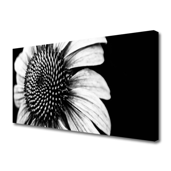 Canvas Kunstdruck Blume Pflanzen