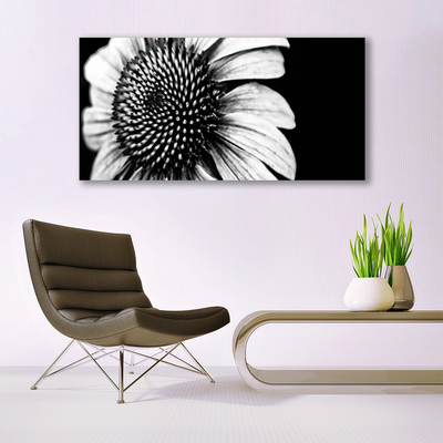 Canvas Kunstdruck Blume Pflanzen