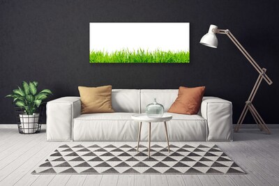 Canvas Kunstdruck Gras Natur