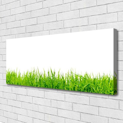 Canvas Kunstdruck Gras Natur