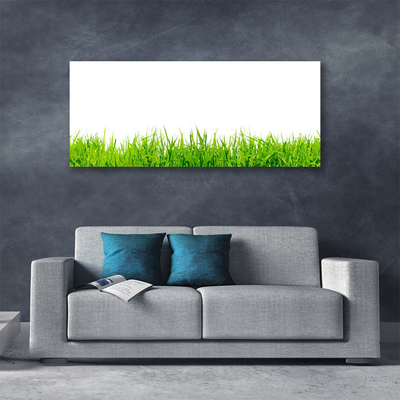 Canvas Kunstdruck Gras Natur