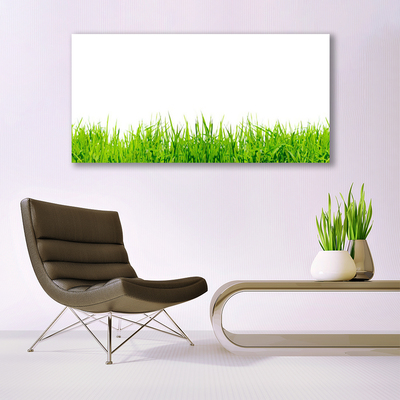 Canvas Kunstdruck Gras Natur