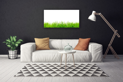 Canvas Kunstdruck Gras Natur