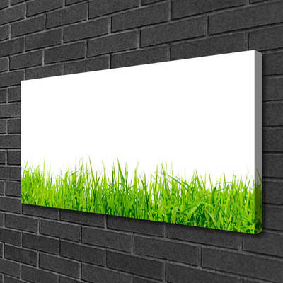 Canvas Kunstdruck Gras Natur