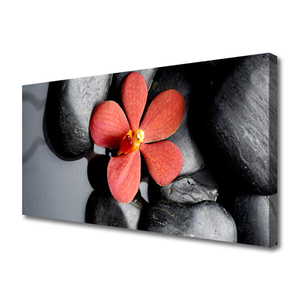 Canvas Kunstdruck Blume Steine Kunst