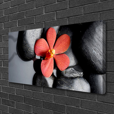 Canvas Kunstdruck Blume Steine Kunst